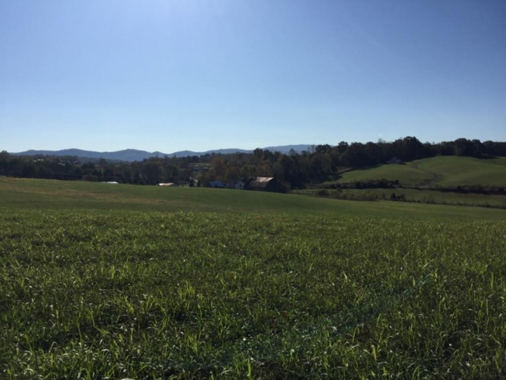 Tbd Browning Road Telford, TN 37690 - Photo 2 of 3 Photo 2