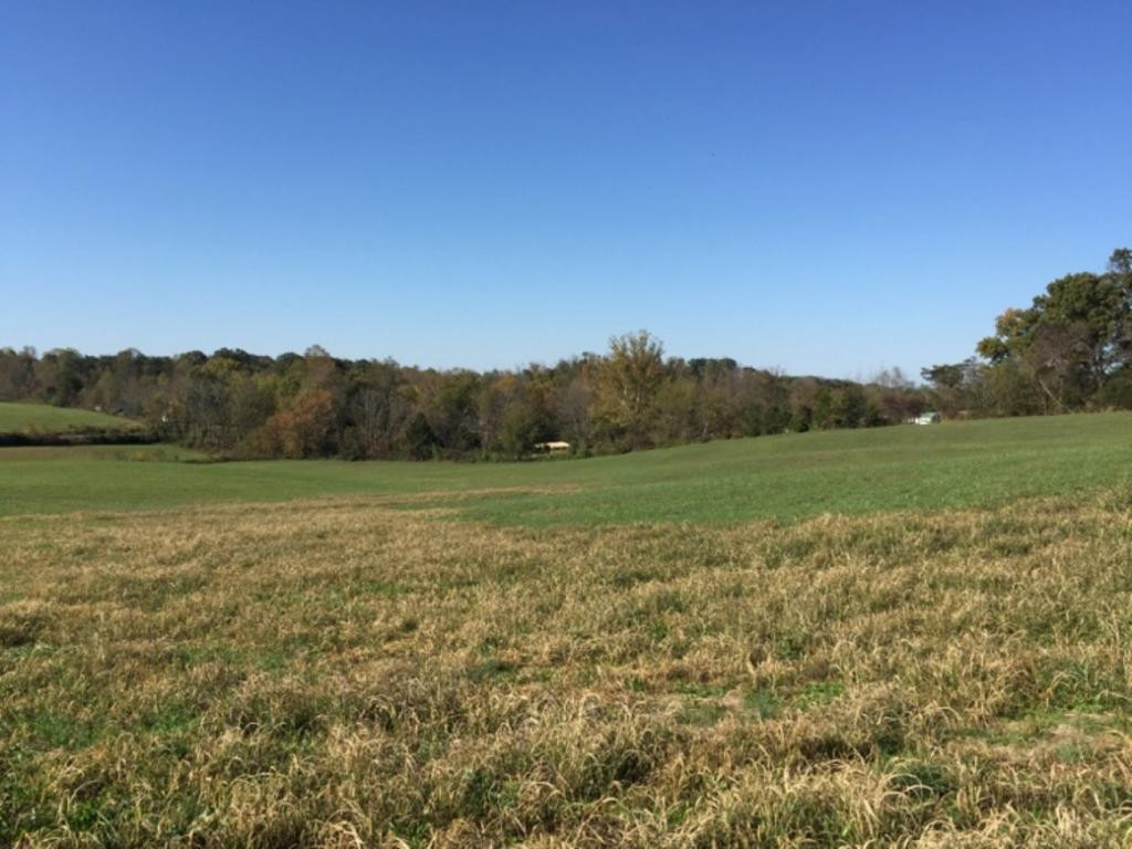 Tbd Browning Road Telford, TN 37690 - Photo 3 of 3 Photo 3