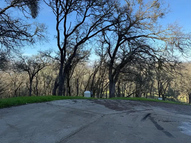 a view of road and trees around