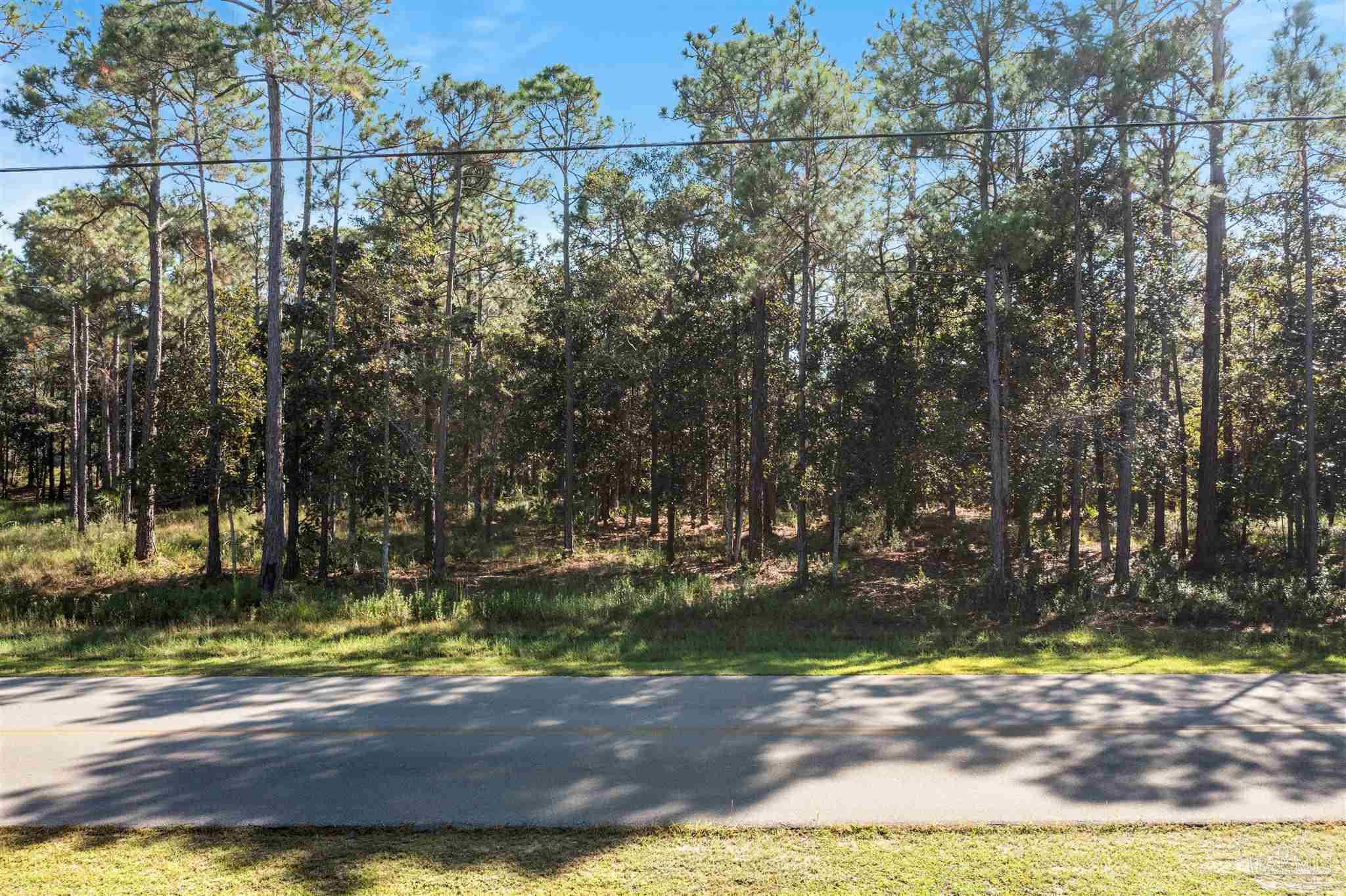 Hodge Road Santa Rosa Beach, FL 32459 - Photo 5 of 17 Gallery Image 5