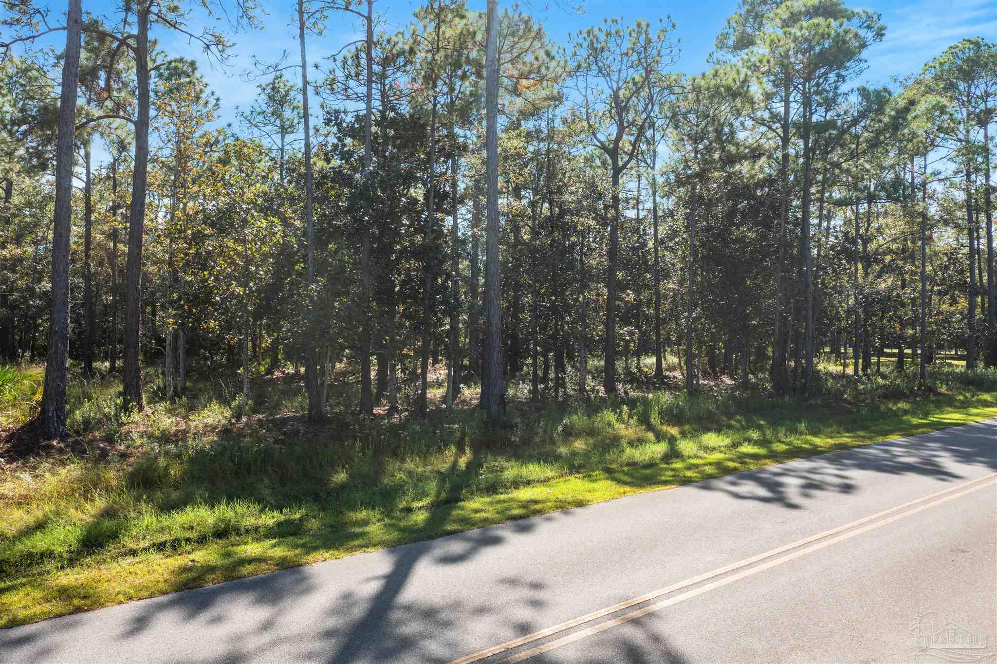 Hodge Road Santa Rosa Beach, FL 32459 - Photo 7 of 17 Gallery Image 7