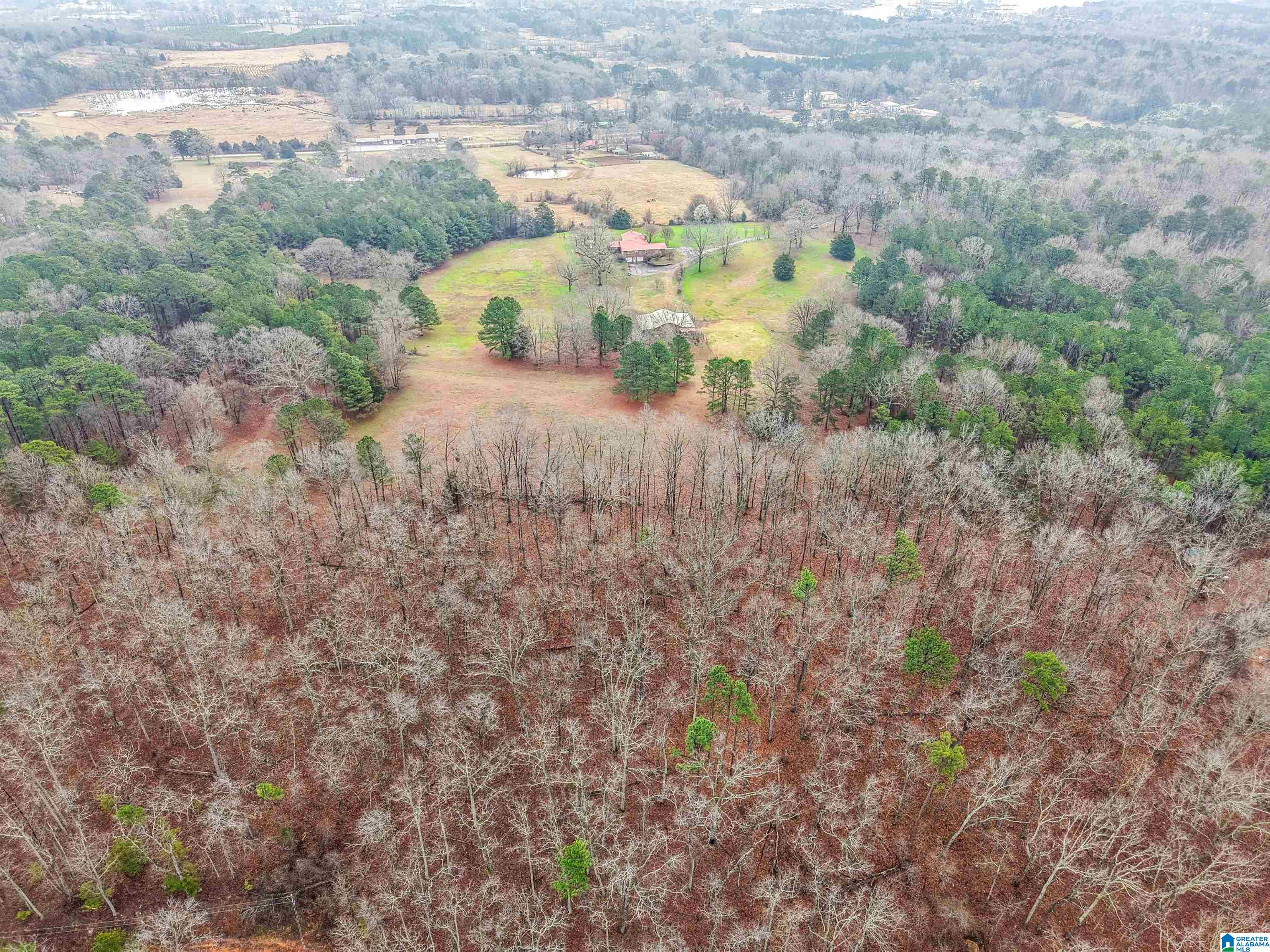 3953 Logan Martin Dam Road Cropwell, AL 35054 - Photo 58 of 99