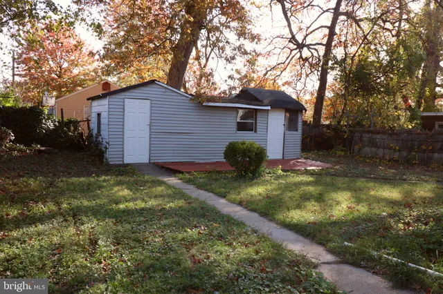 a backyard of a house with plants and large tree