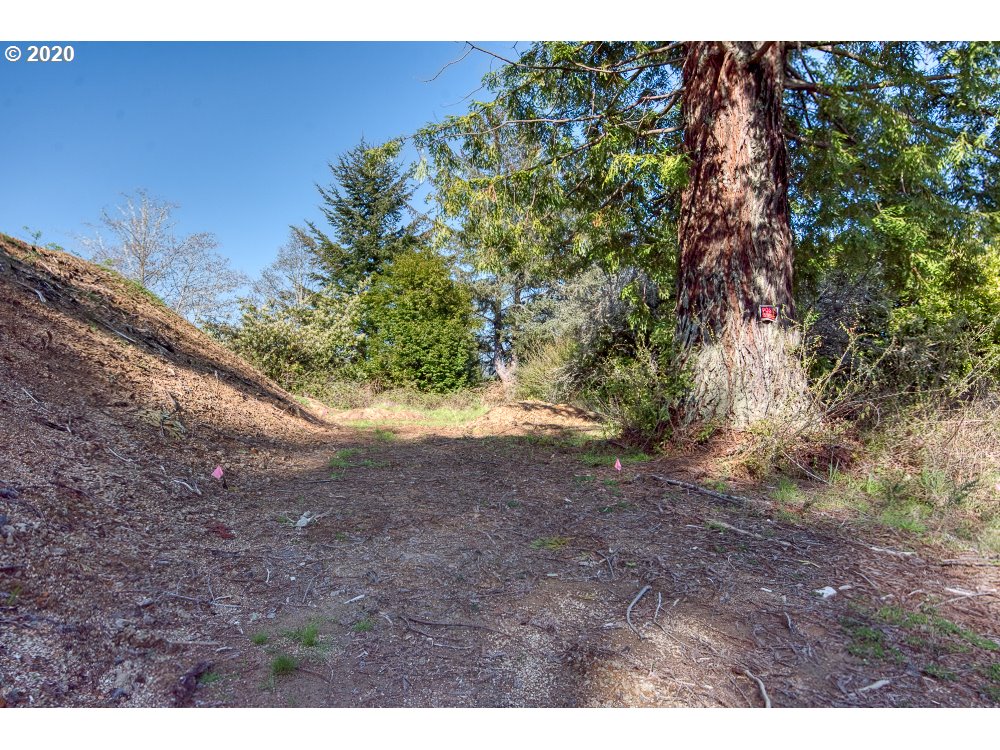 62024 Olive Barber Road Coos Bay, OR 97420 - Photo 6 of 11 Gallery Image 6