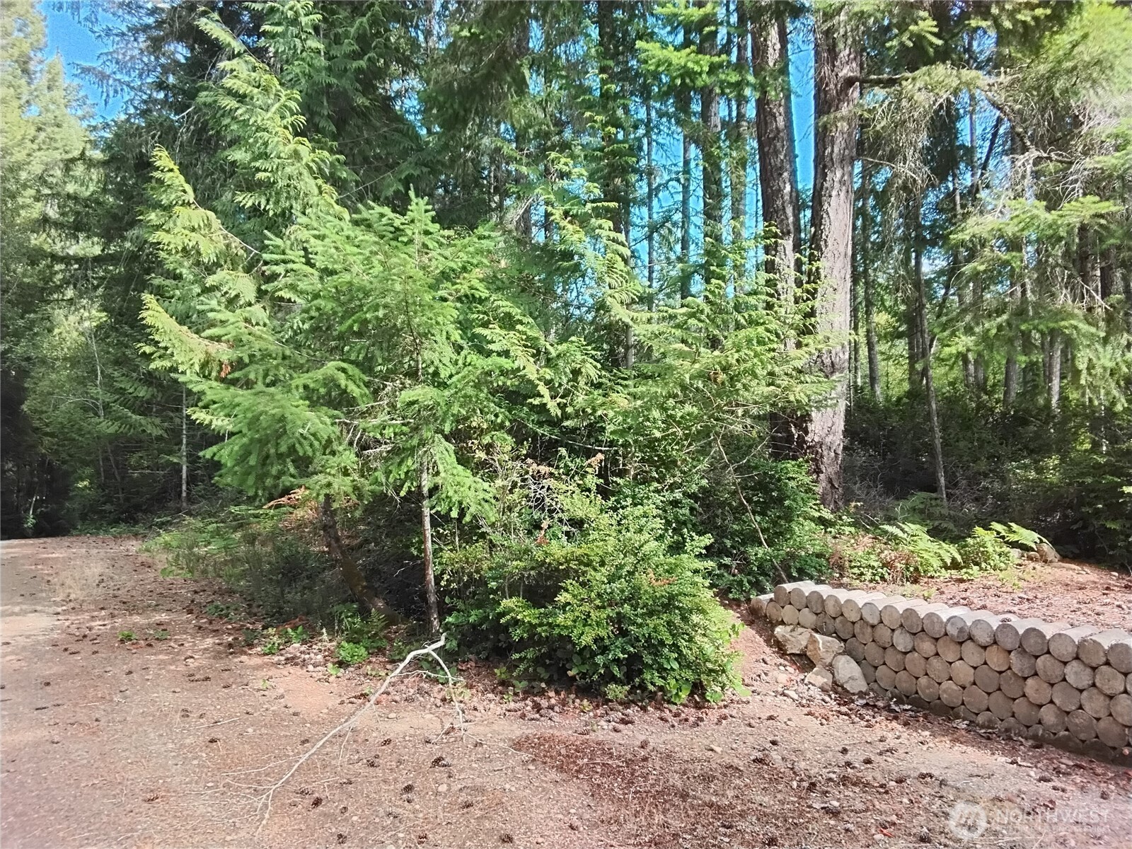 0 East Frontier Road Grapeview, WA 98546 - Photo 1 of 35 Gallery Image 1