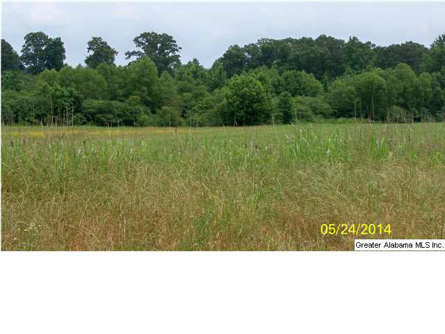 18 County Road, Unit 33 Bremen, AL 35033 - Photo 1 of 9