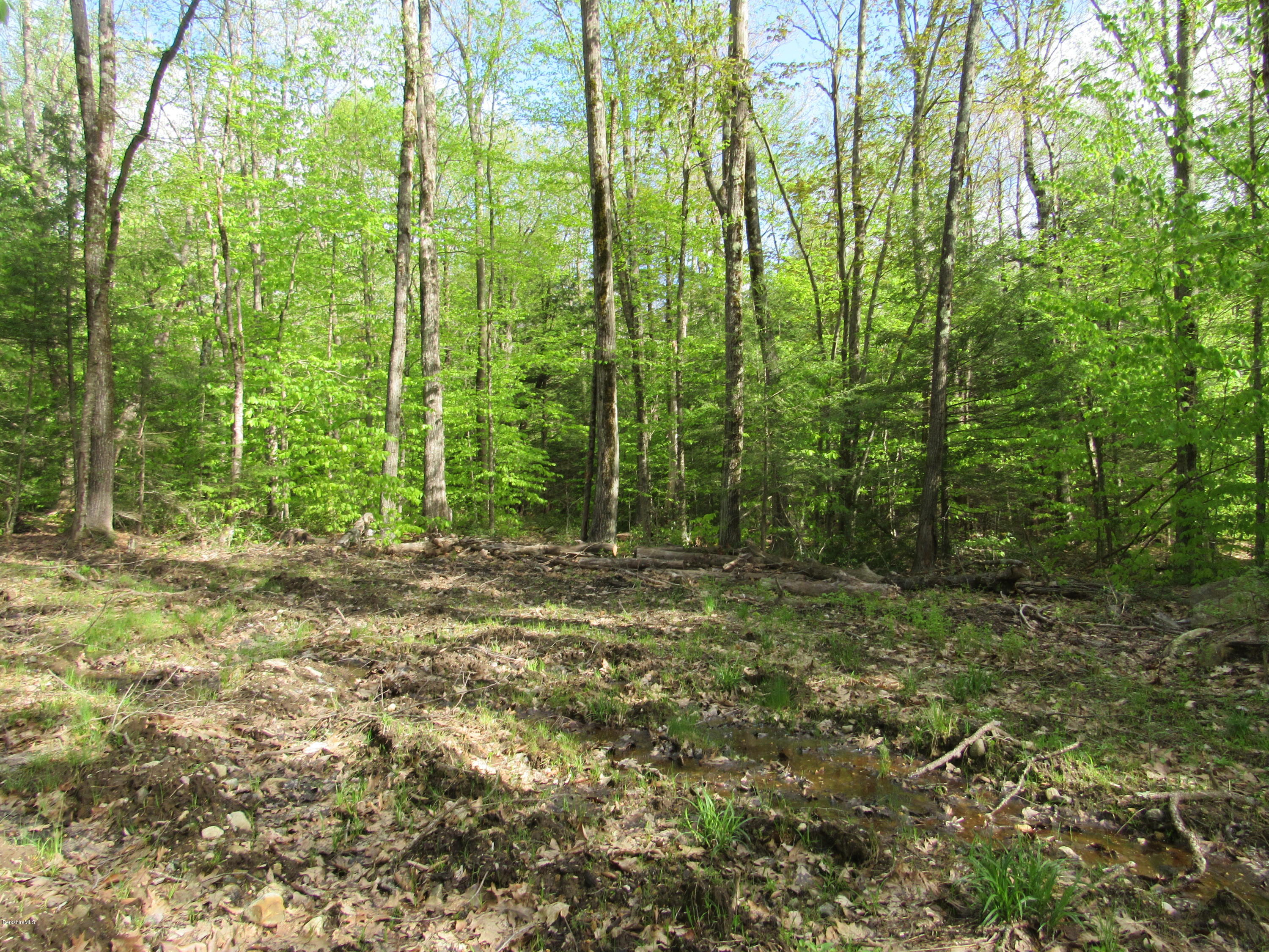 Lot #53 Lincoln Road Otis, MA 01253 - Photo 1 of 4 Lot #53 Lincoln Road Otis
