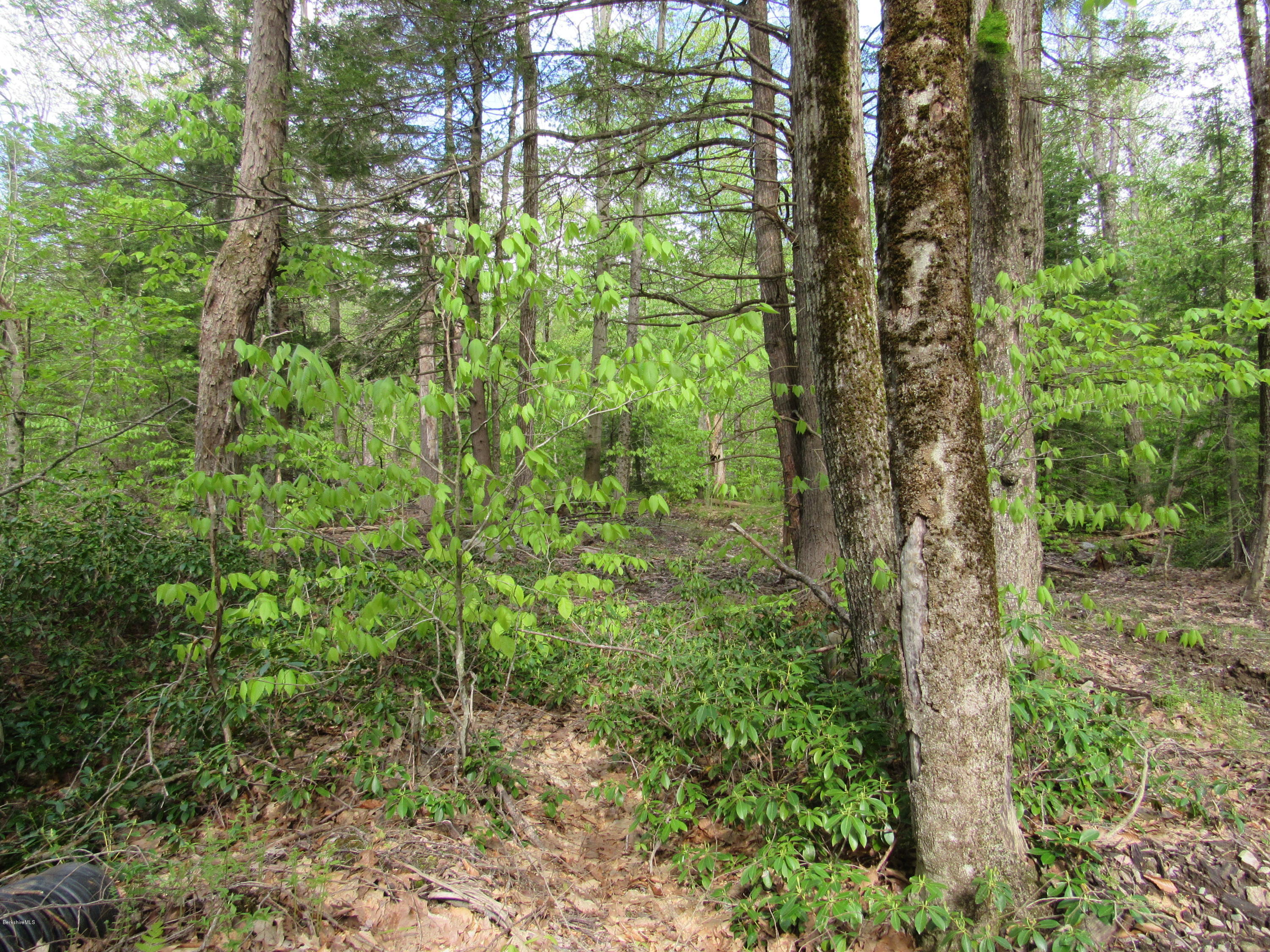 Lot #53 Lincoln Road Otis, MA 01253 - Photo 3 of 4 Remote Location