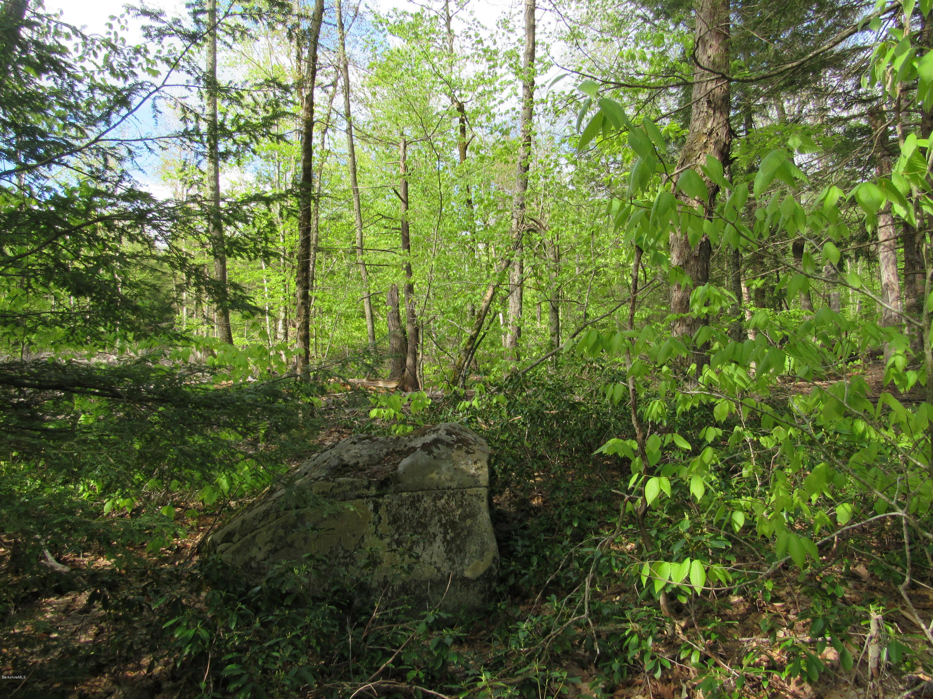 Lot #53 Lincoln Road Otis, MA 01253 - Photo 4 of 4 Build or Enjoy For Motor Sports