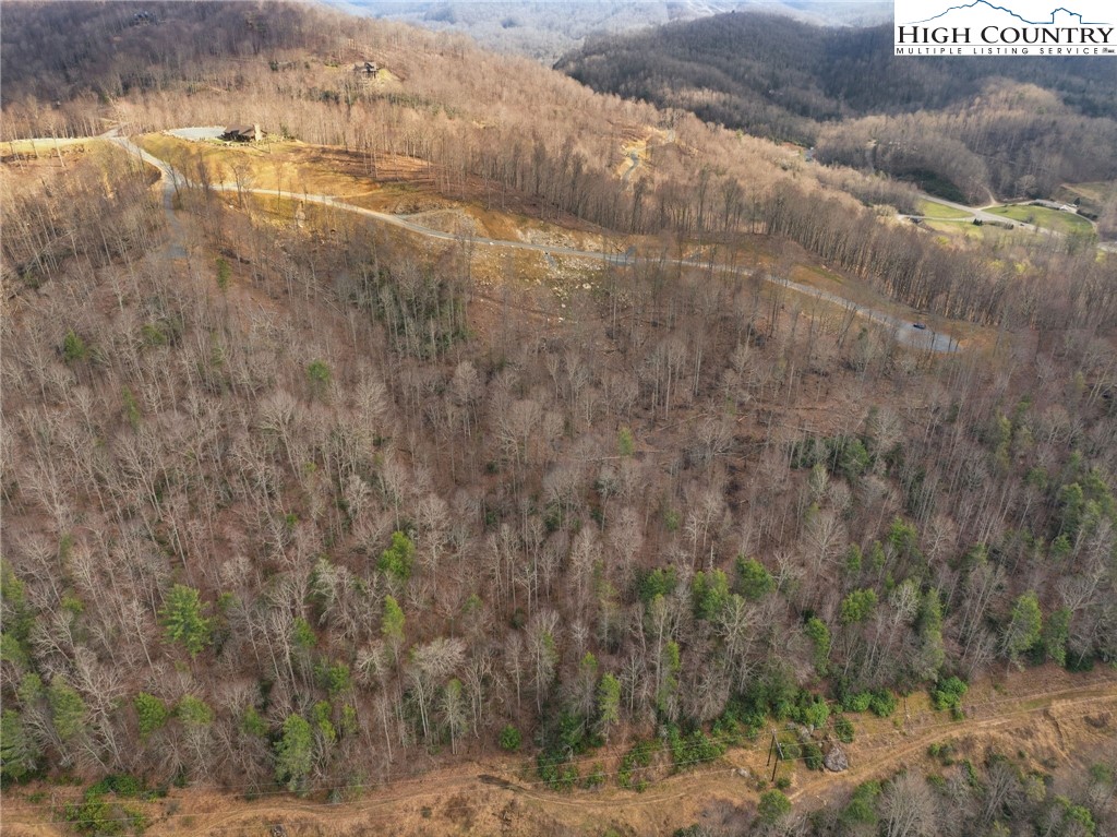 Lot 188 Raspberry Lane Elk Park, NC 28622 - Photo 12 of 25