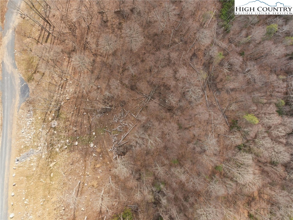 Lot 188 Raspberry Lane Elk Park, NC 28622 - Photo 13 of 25