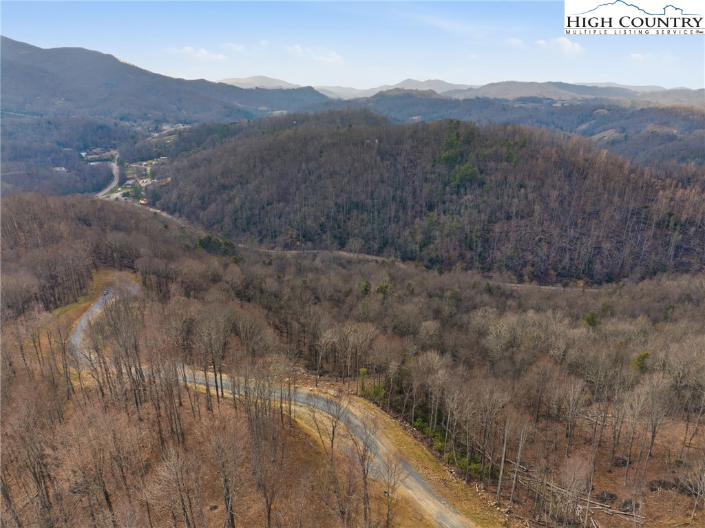 Lot 188 Raspberry Lane Elk Park, NC 28622 - Photo 14 of 25