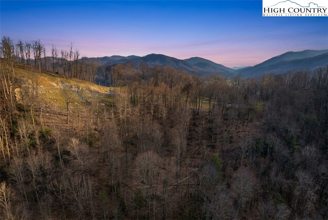 Lot 188 Raspberry Lane Elk Park, NC 28622 - Photo 19 of 25