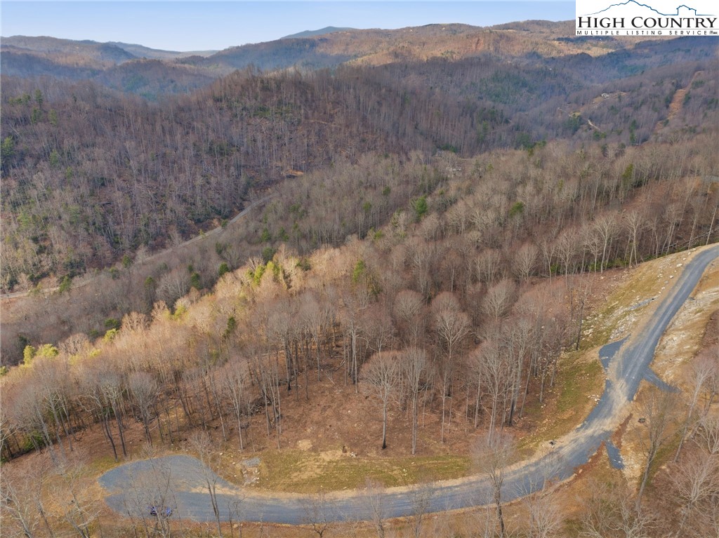 Lot 188 Raspberry Lane Elk Park, NC 28622 - Photo 22 of 25