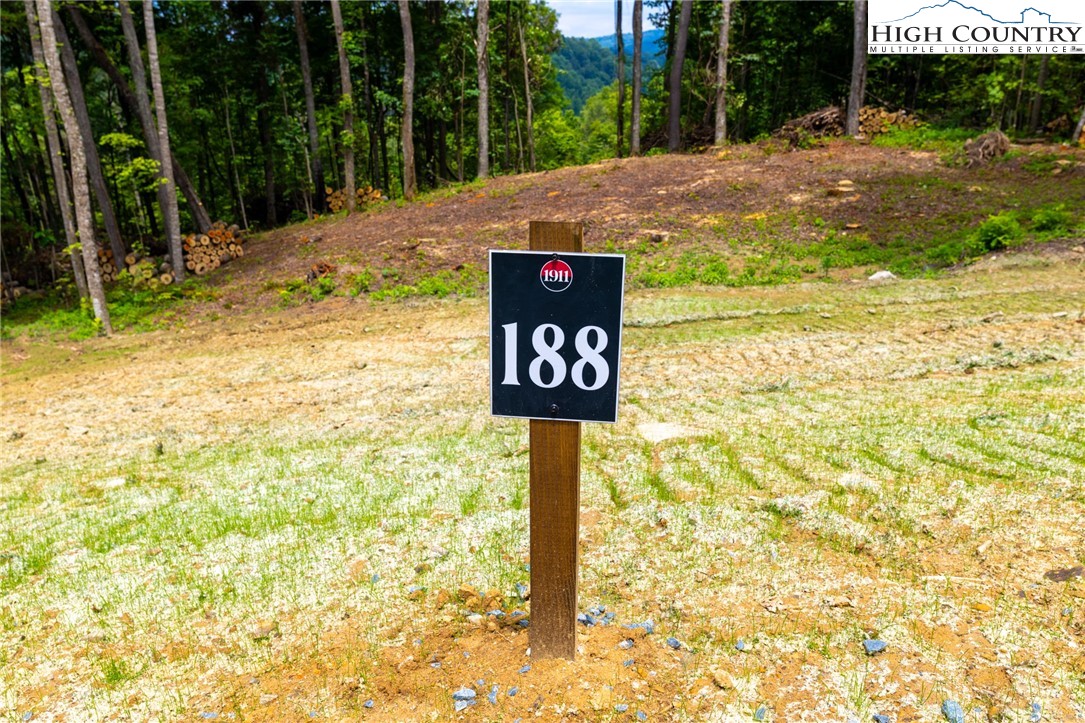 Lot 188 Raspberry Lane Elk Park, NC 28622 - Photo 3 of 25