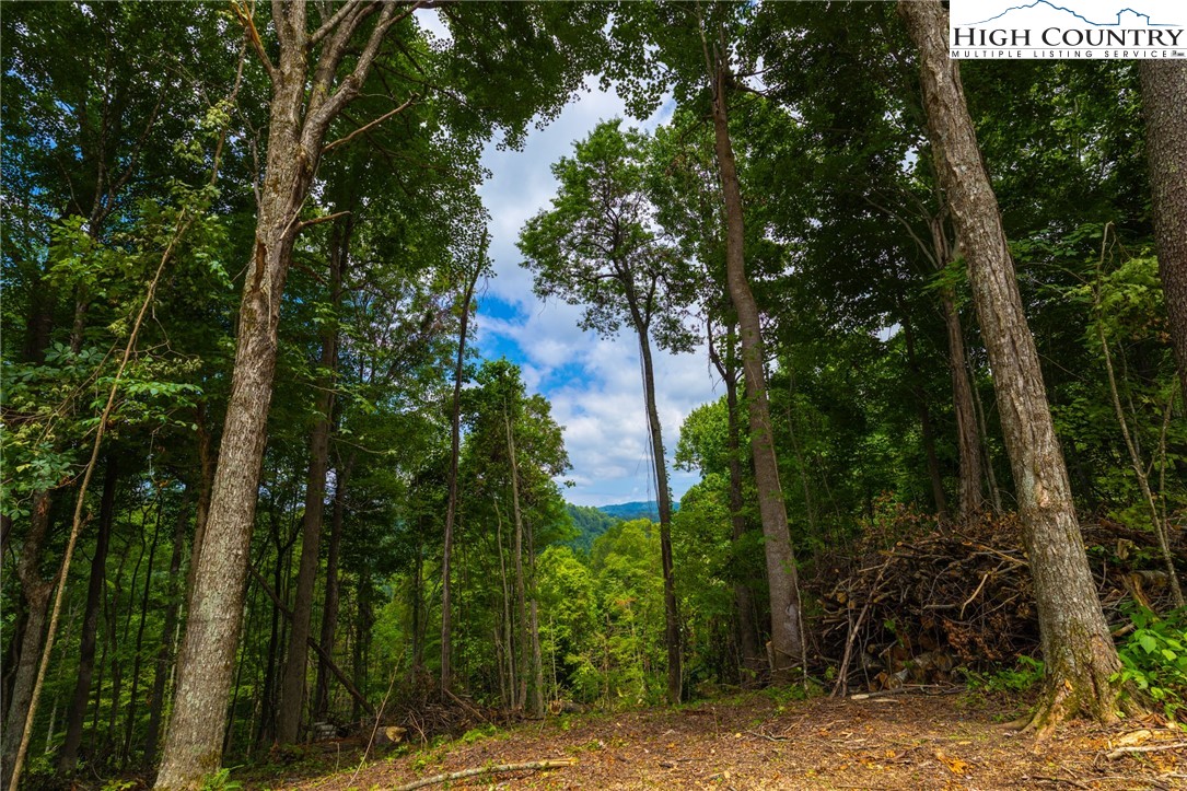 Lot 188 Raspberry Lane Elk Park, NC 28622 - Photo 5 of 25