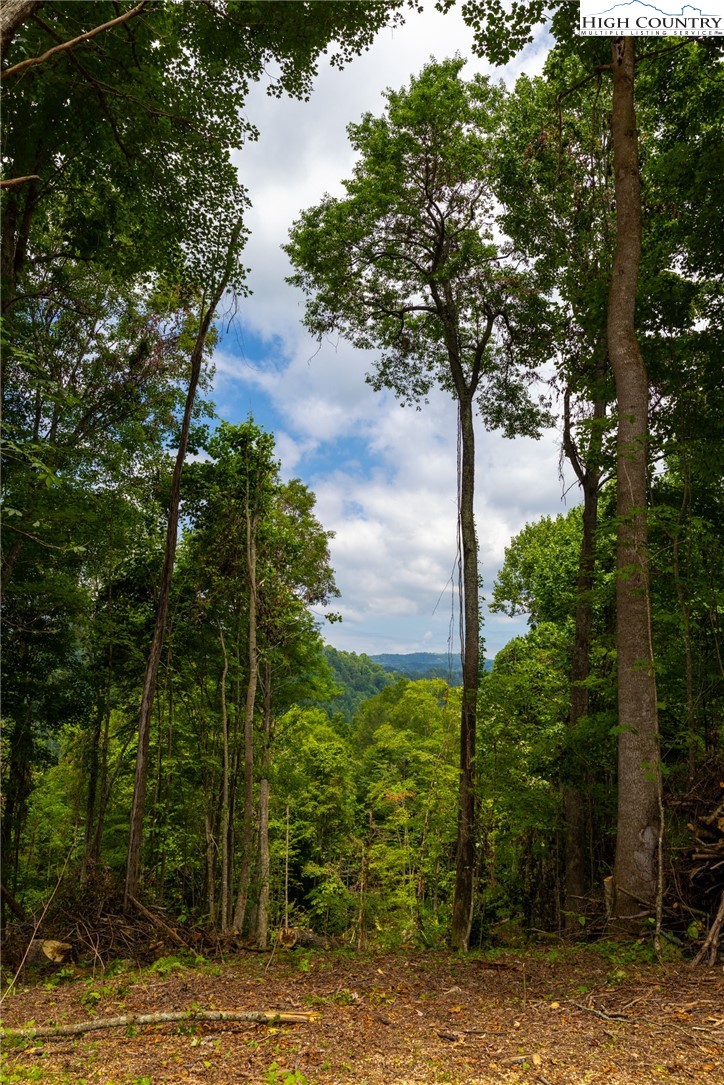 Lot 188 Raspberry Lane Elk Park, NC 28622 - Photo 6 of 25