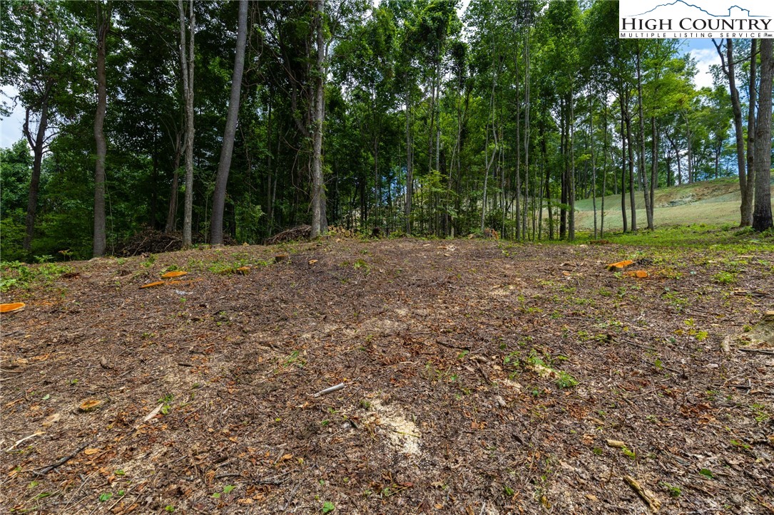 Lot 188 Raspberry Lane Elk Park, NC 28622 - Photo 7 of 25