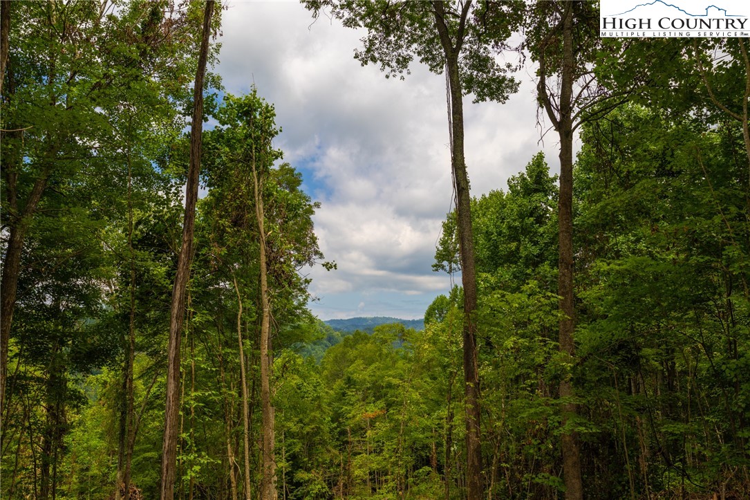 Lot 188 Raspberry Lane Elk Park, NC 28622 - Photo 8 of 25