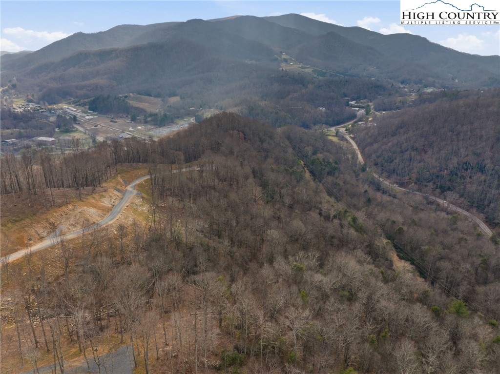 Lot 188 Raspberry Lane Elk Park, NC 28622 - Photo 9 of 25