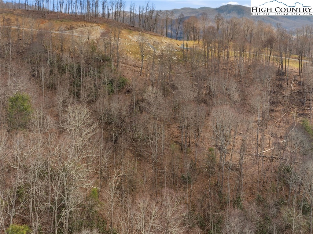 Lot 188 Raspberry Lane Elk Park, NC 28622 - Photo 10 of 25