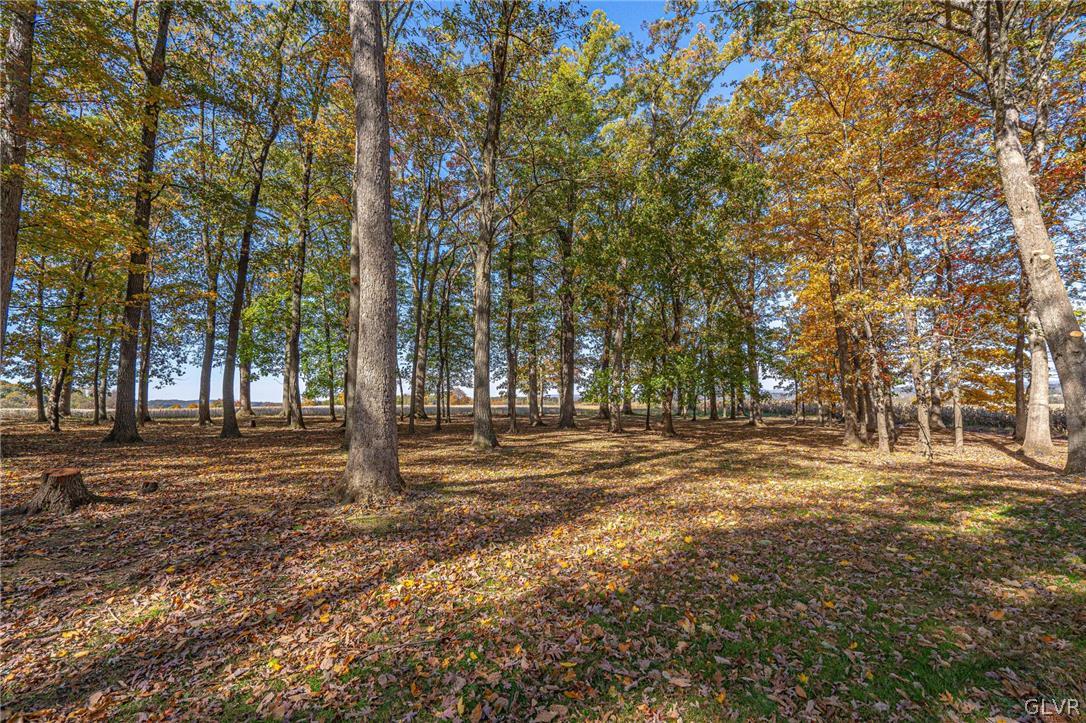 3252 Church Road Orefield, PA 18069 - Photo 47 of 50 Gallery Image 47