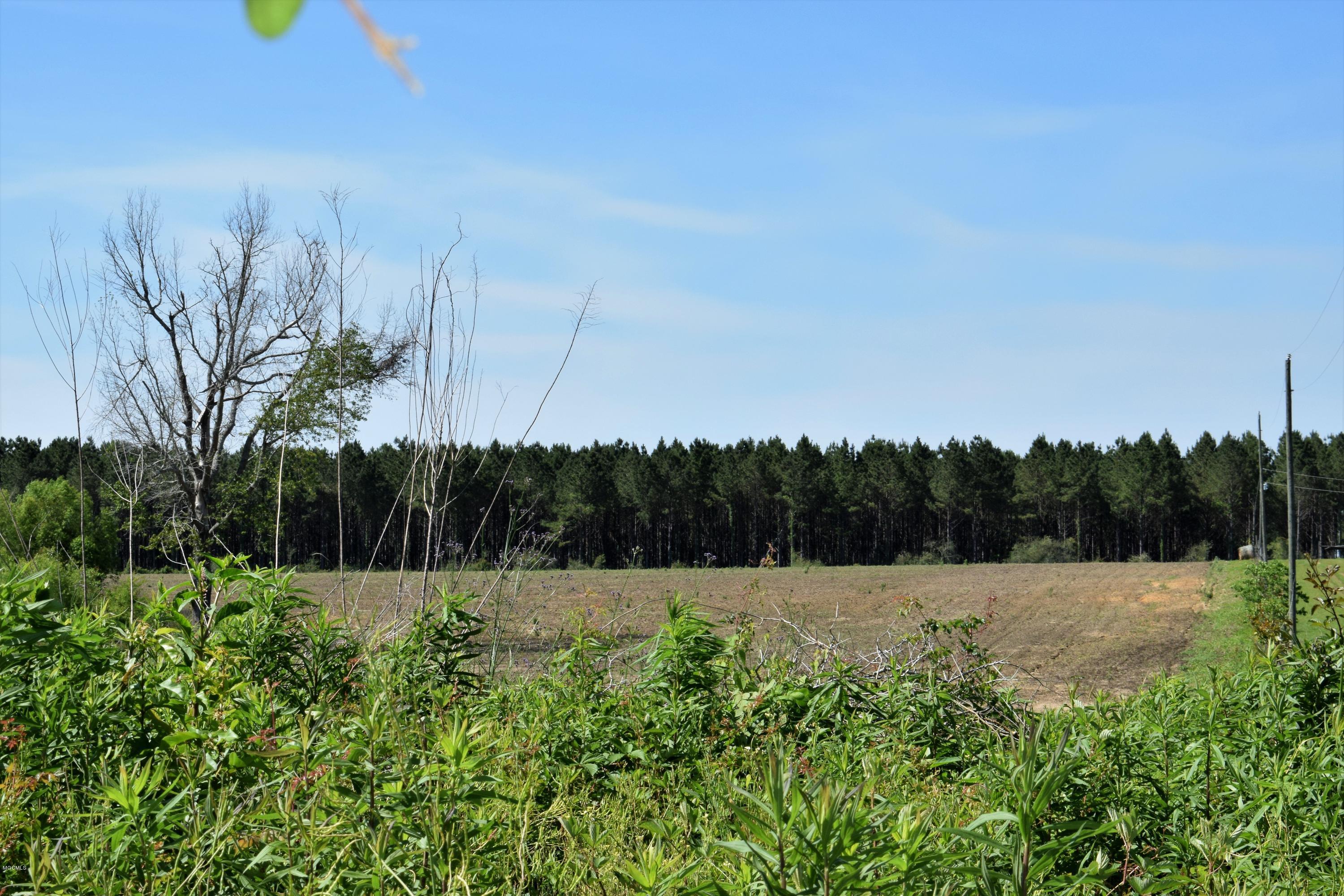 26.7-ac Basin Refuge Road Lucedale, MS 39452 - Photo 3 of 5 Land