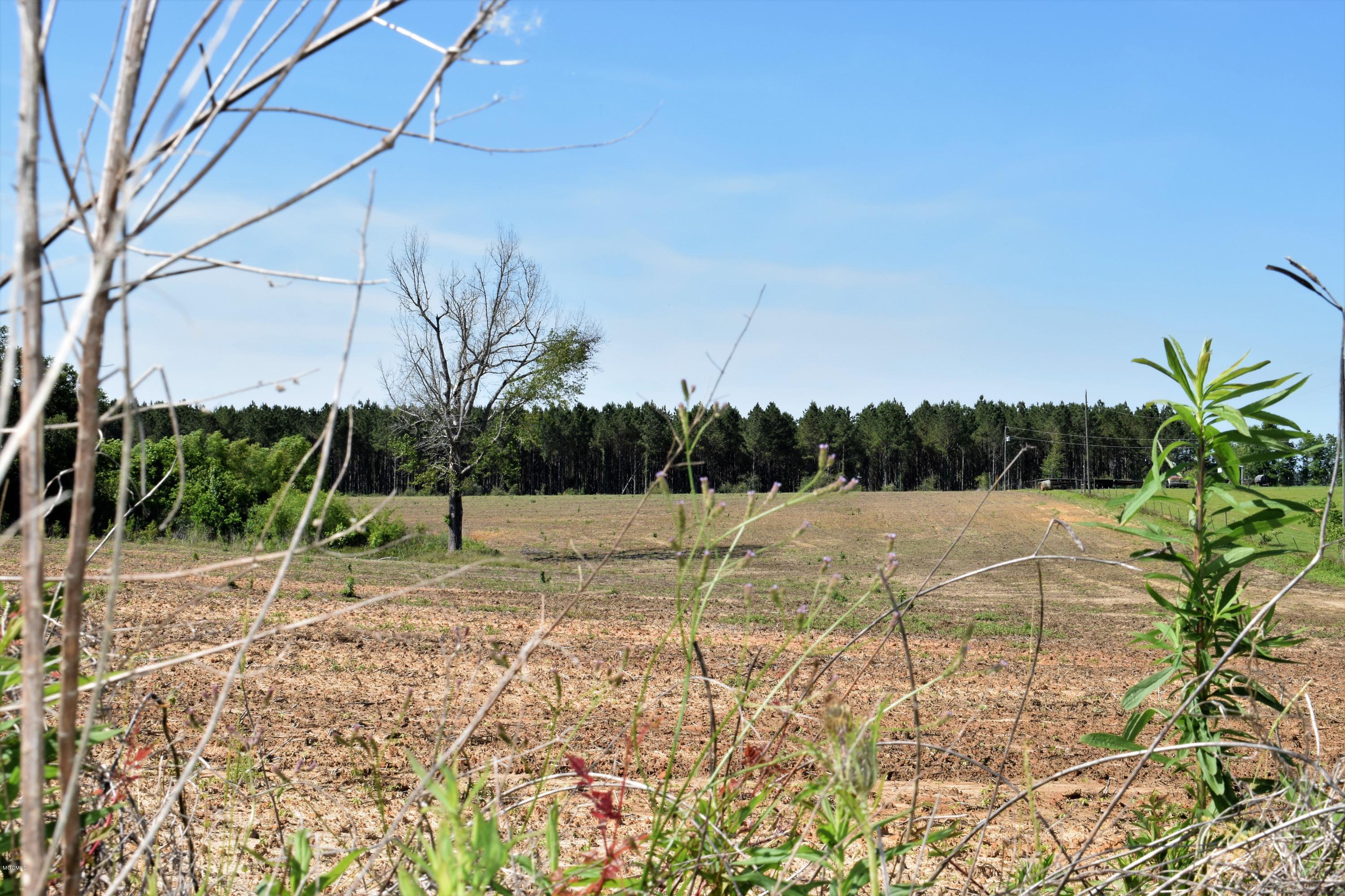 26.7-ac Basin Refuge Road Lucedale, MS 39452 - Photo 5 of 5 Land