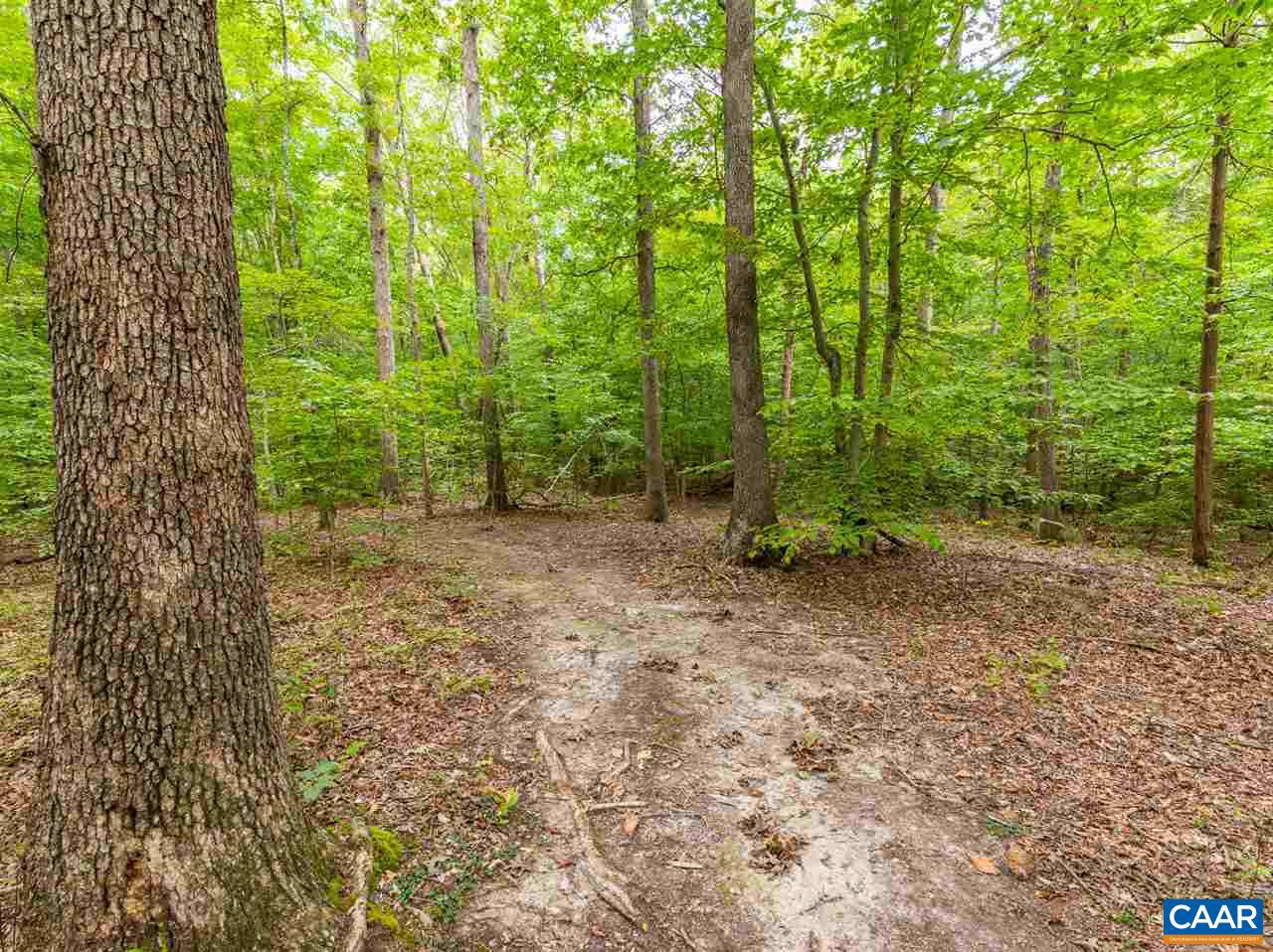 2363 Roundabout Road Louisa, VA 23093 - Photo 40 of 48