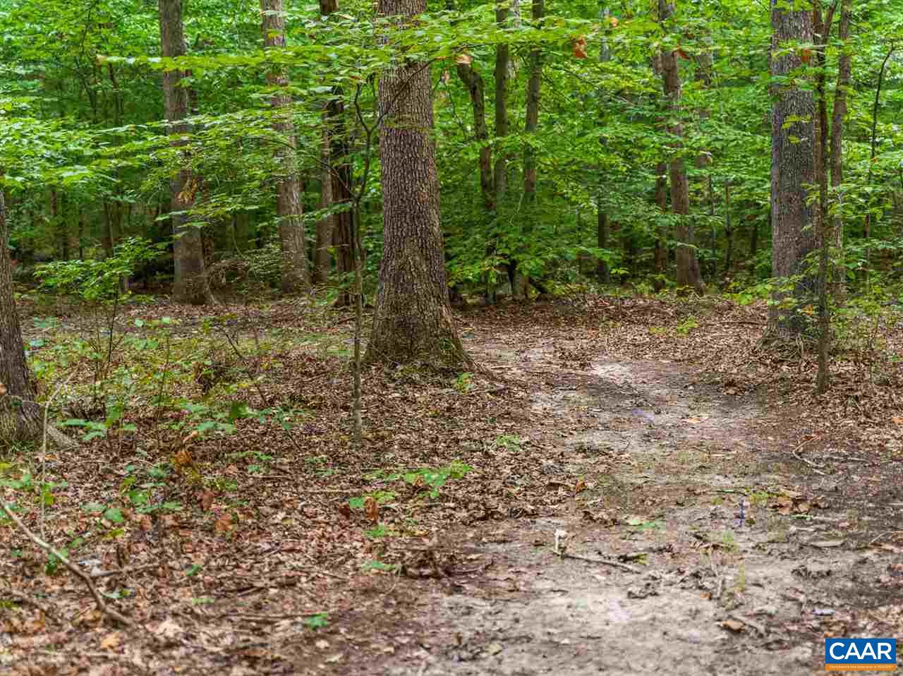 2363 Roundabout Road Louisa, VA 23093 - Photo 42 of 48