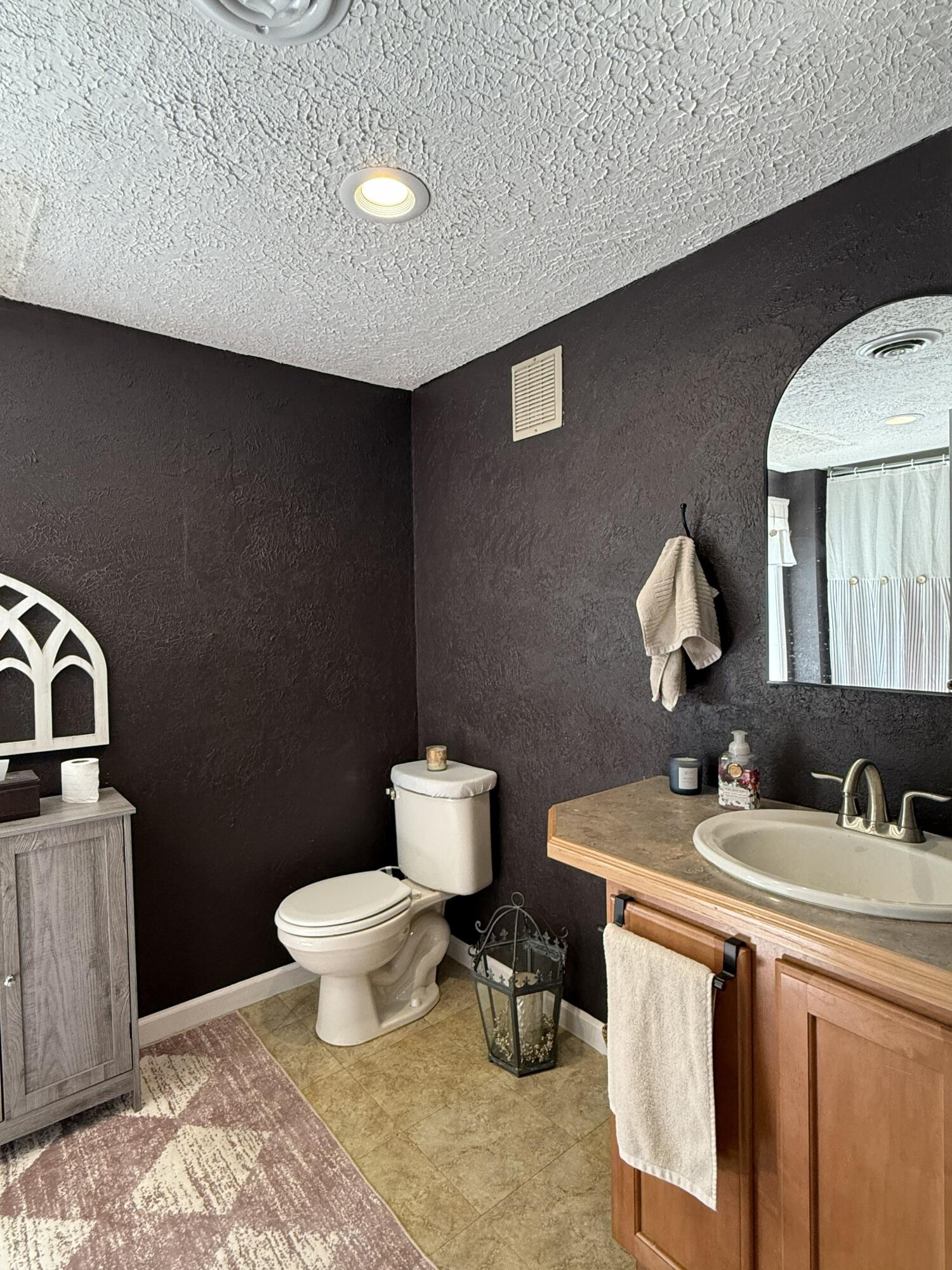 616 Dryhill Road Ferrum, VA 24088 - Photo 18 of 31 a bathroom with a toilet sink and mirror