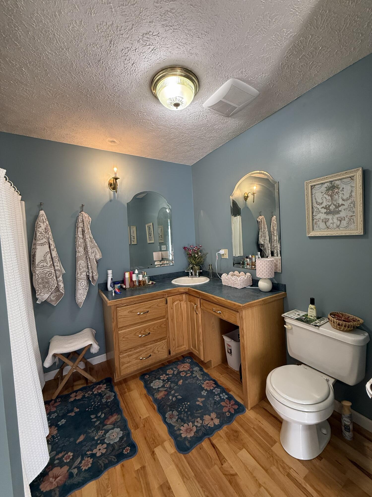 616 Dryhill Road Ferrum, VA 24088 - Photo 10 of 31 a bathroom with a toilet a sink and mirror
