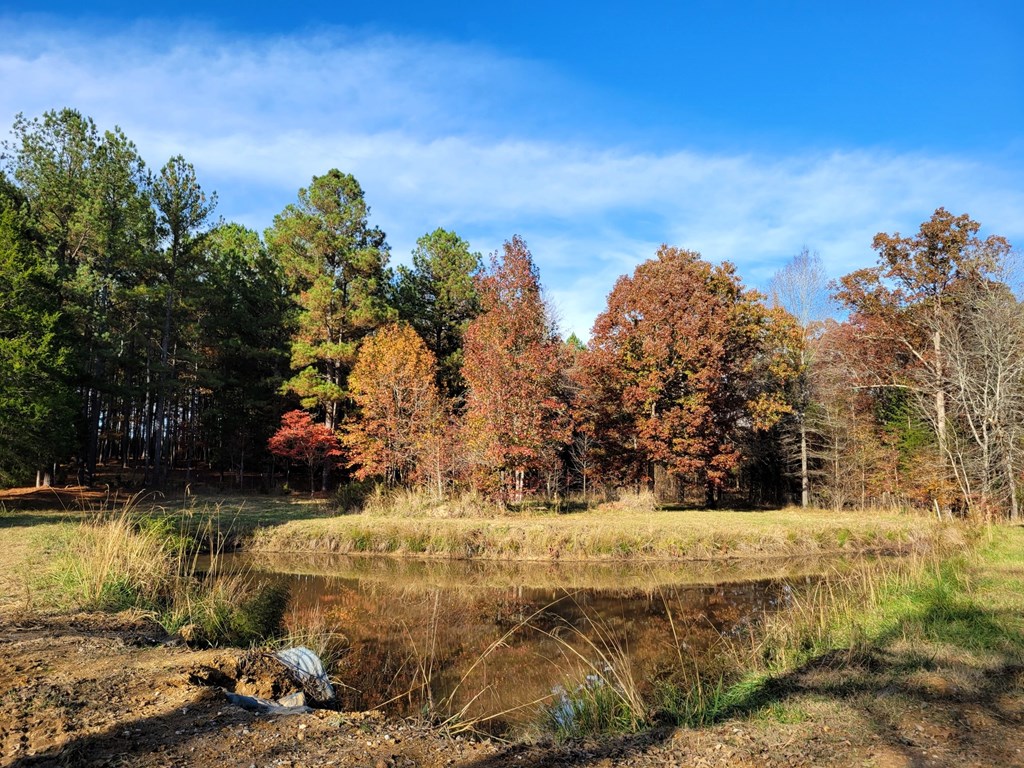 220 June Prince Road McCormick, SC 29835 - Photo 35 of 38