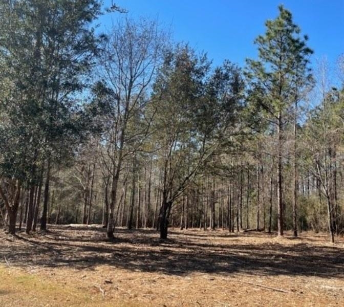 Lot 54 Steelwood Ridge Road Stapleton, AL 36578 - Photo 1 of 1