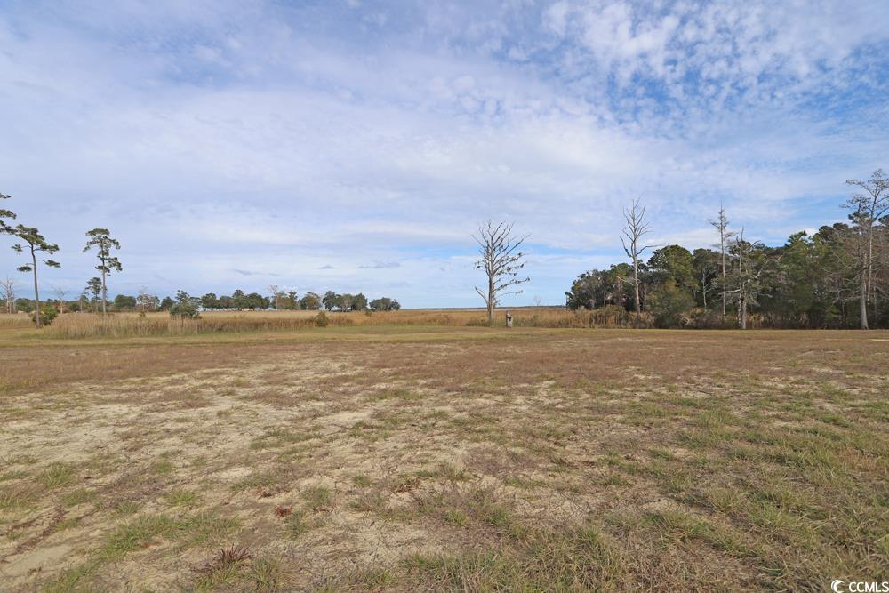 401 Two Rivers Road Georgetown, SC 29440 - Photo 7 of 31