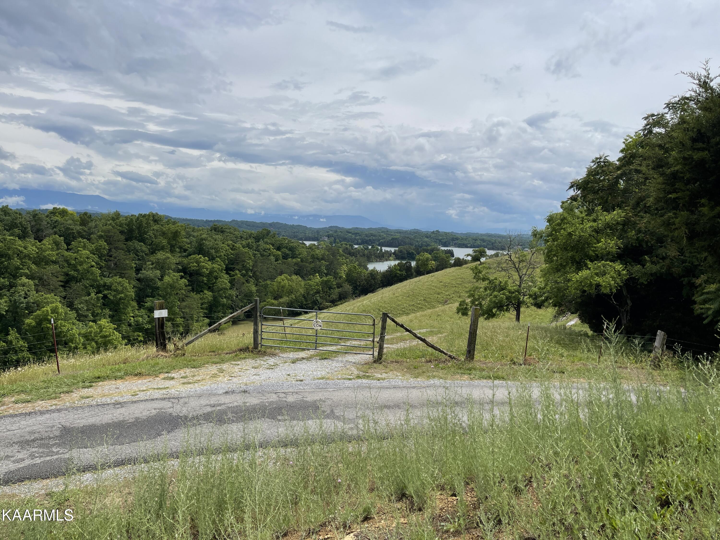Lot 11 Black Oak Ridge Road Sevierville, TN 37876 - Photo 1 of 12 CE867845-99BF-4F7A-91E7-0E33ABAE7210