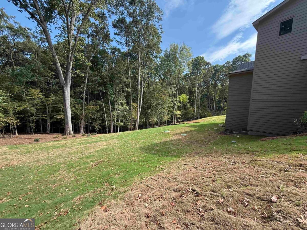 1140 Askew Road Greensboro, GA 30642 - Photo 32 of 41 Gallery Image 32