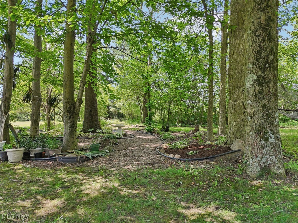 8757 River Corners Road Homerville, OH 44235 - Photo 45 of 50 Gallery Image 45