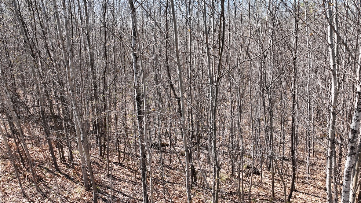 Xx East Beauregard Lake Road Solon Springs, WI 54873 - Photo 26 of 37