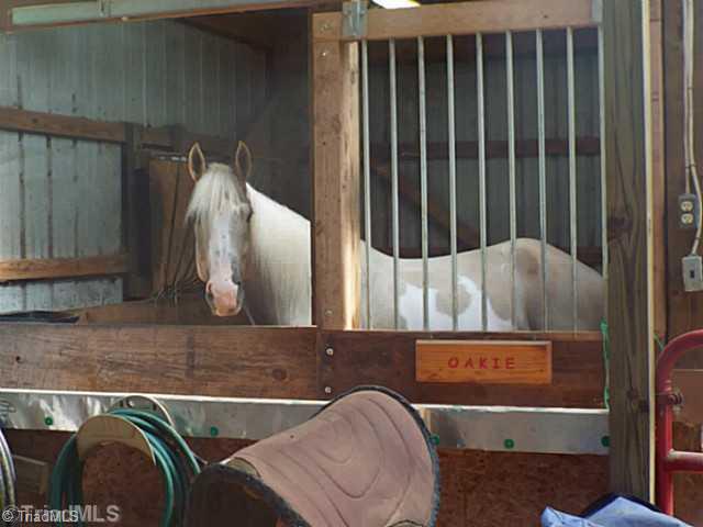 310 Seaford Road Advance, NC 27006 - Photo 14 of 15 Stable/Barn.