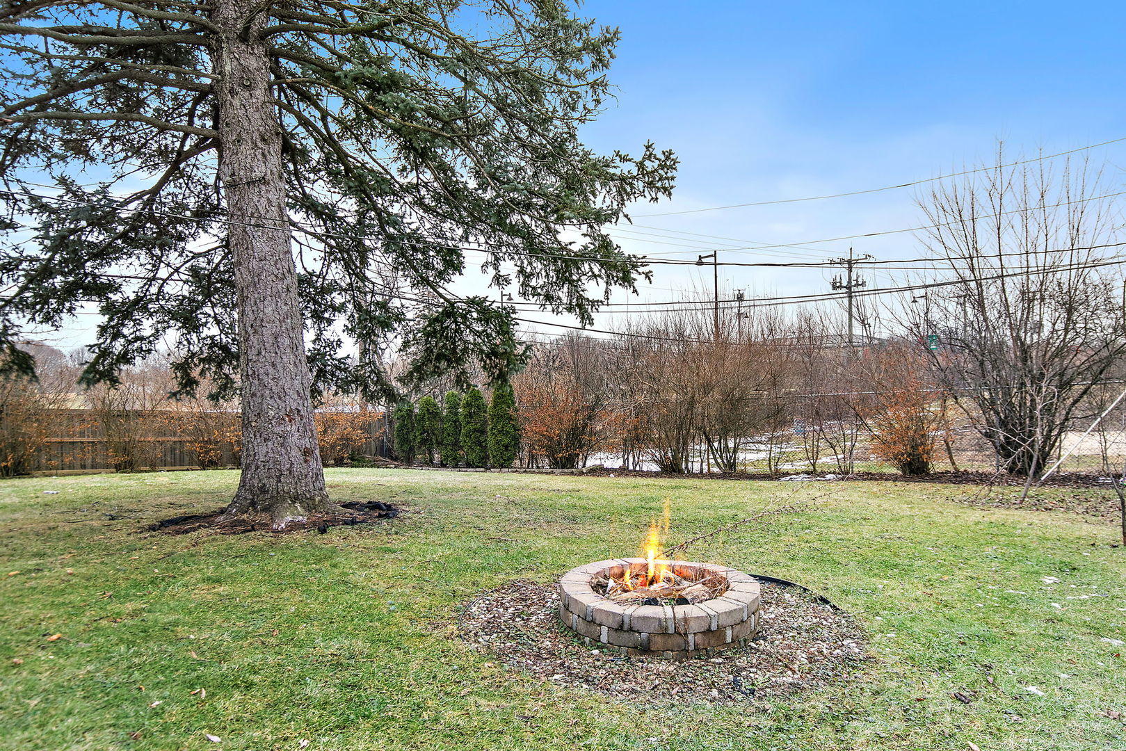 1014 Vine Street Streamwood, IL 60107 - Photo 22 of 23 a view of a backyard with plants and a slide