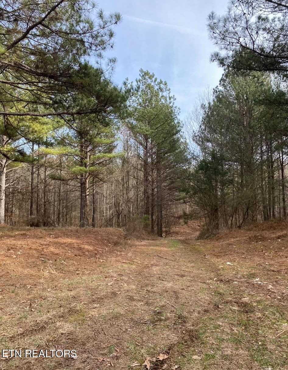 2421 Wasson Road Ten Mile, TN 37880 - Photo 19 of 25 att.kxXrZnP7ncc8nmv1cZQql3FuUUdgMojhX11g