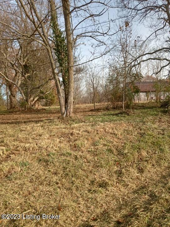 1380 Fackler Road Guston, KY 40142 - Photo 18 of 20 image000005
