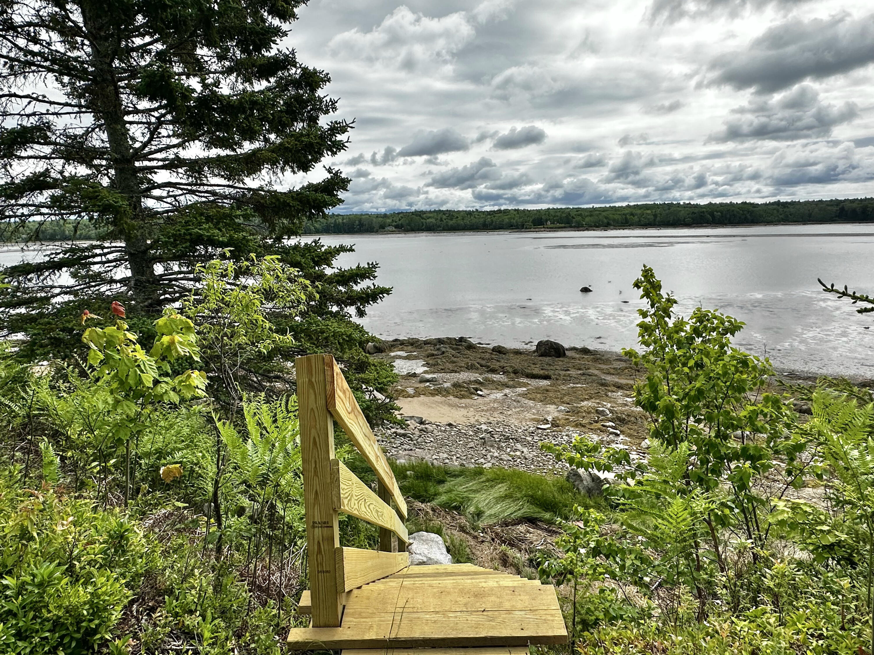 10 Spruce Reach Gouldsboro, ME 04607 - Photo 61 of 82 IMG_6782