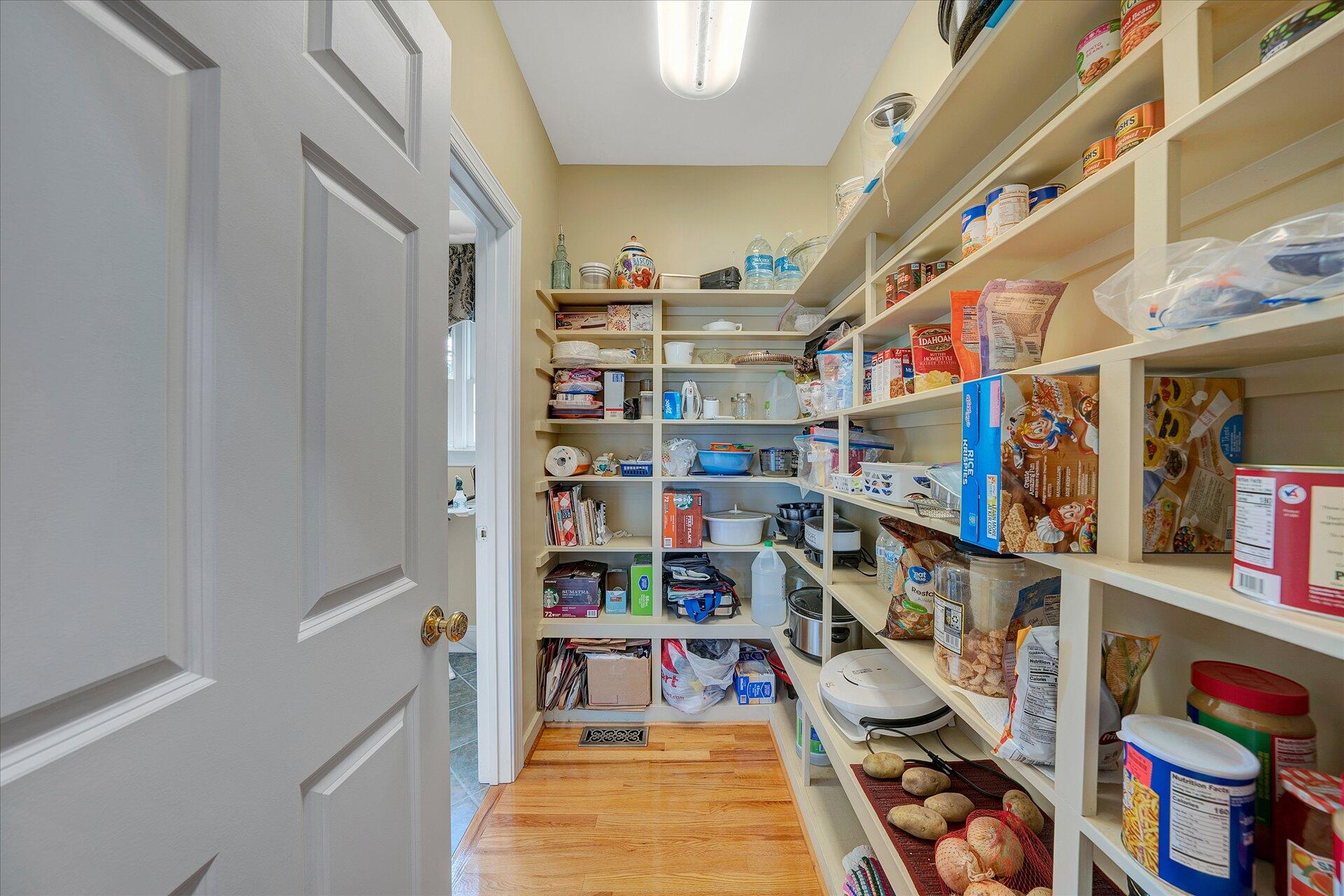 127 Tranquility Road Moneta, VA 24121 - Photo 22 of 61 Walk-In Pantry