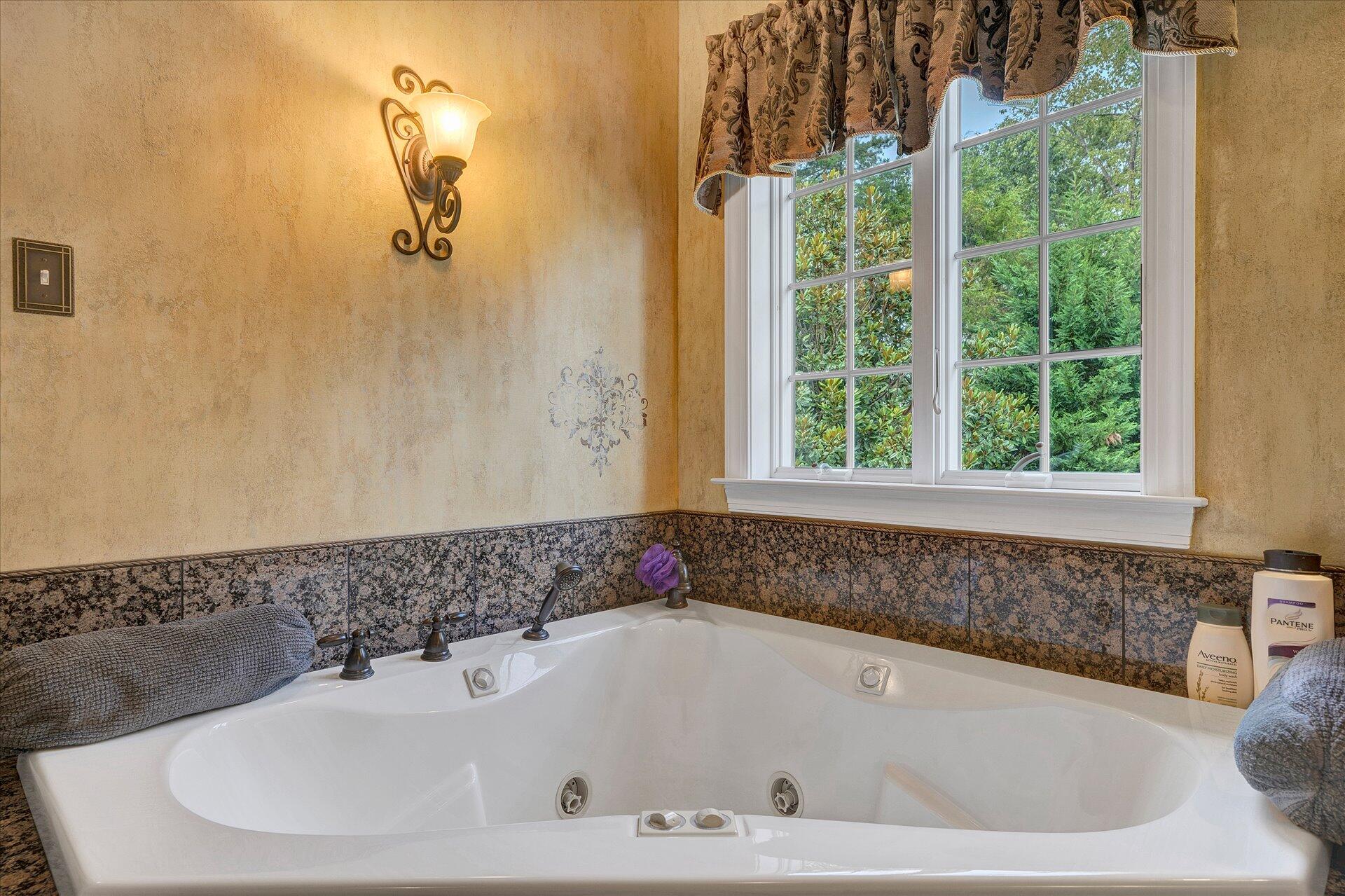 127 Tranquility Road Moneta, VA 24121 - Photo 29 of 61 Master Bath