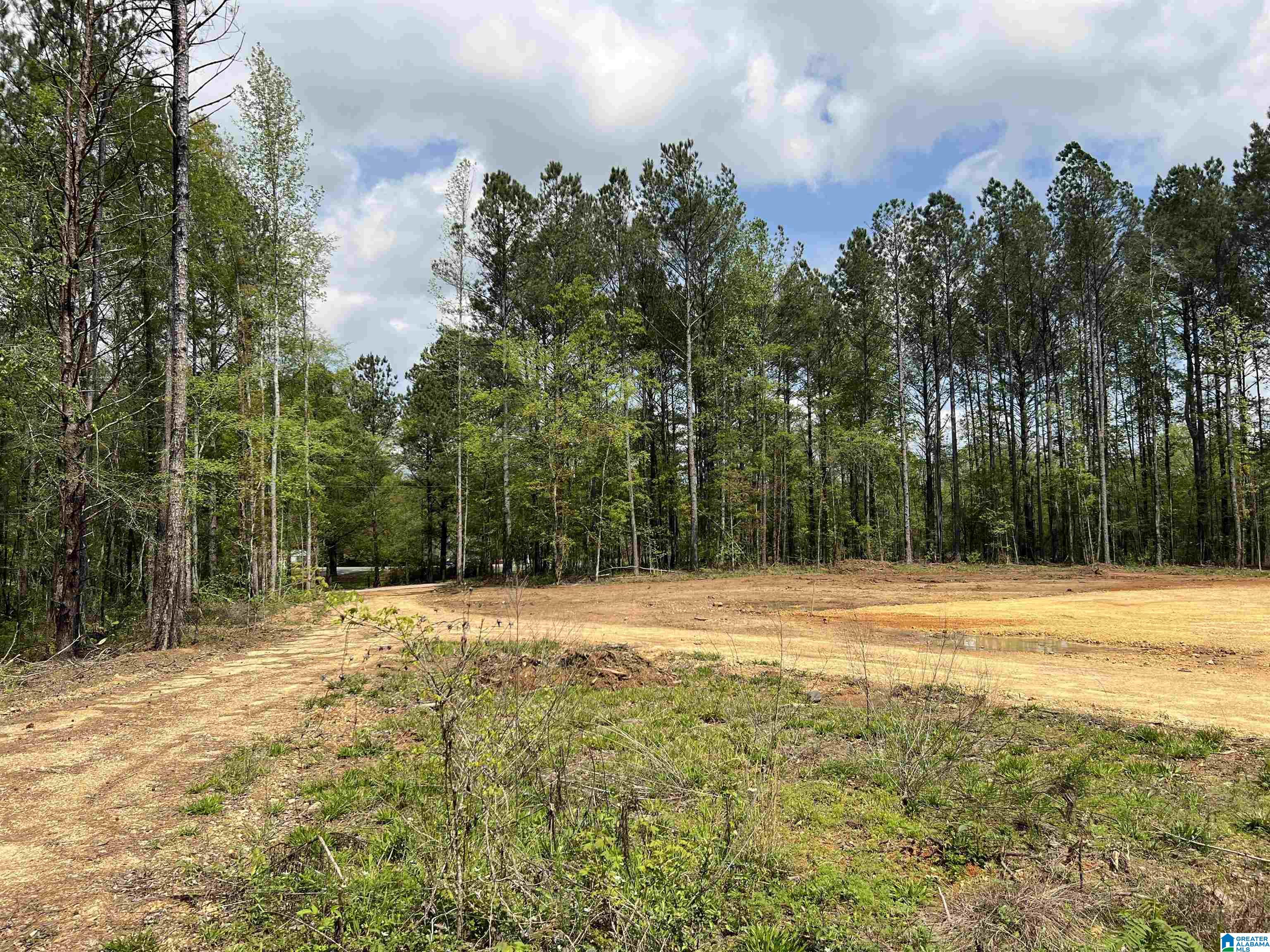371 North Horton Road, Unit 1A Wilsonville, AL 35186 - Photo 2 of 8