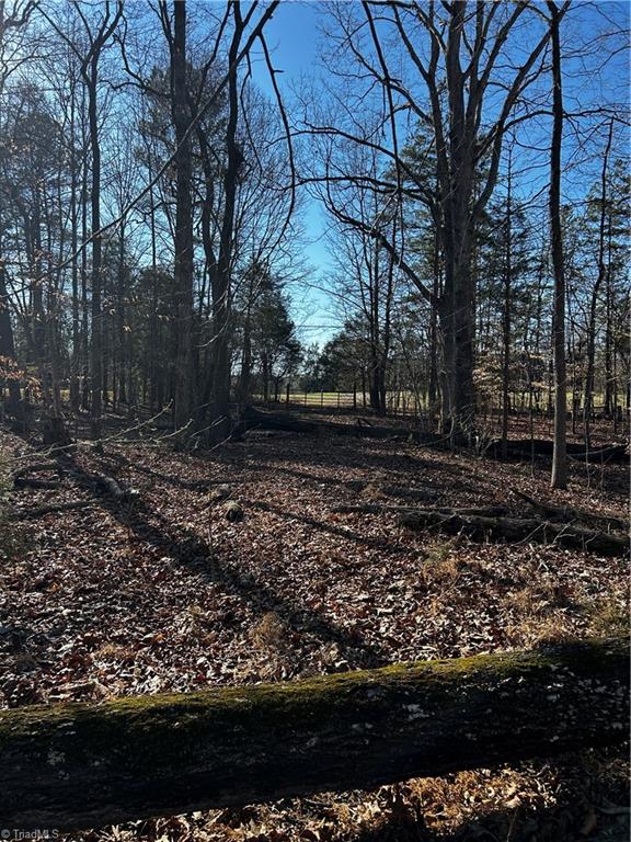 4624 Old Hopewell Church Road Trinity, NC 27370 - Photo 13 of 28