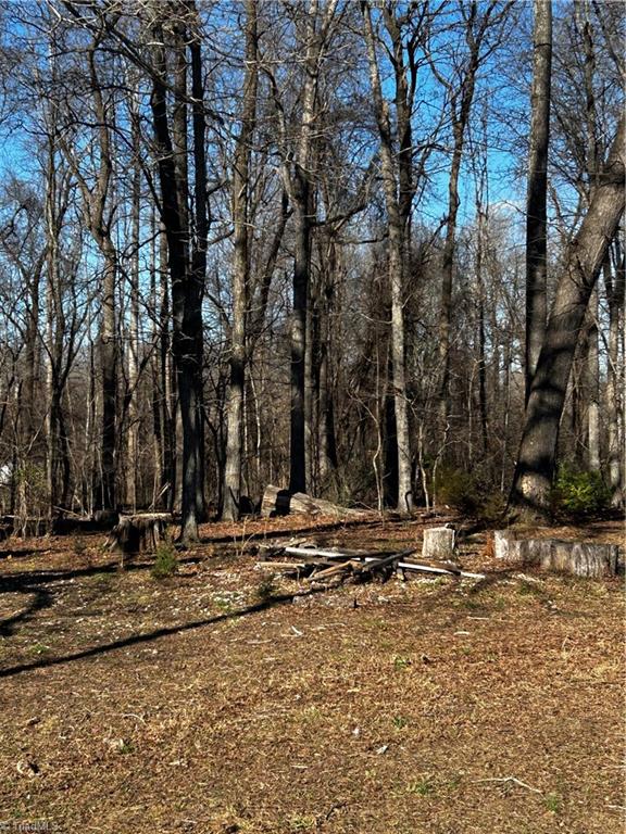 4624 Old Hopewell Church Road Trinity, NC 27370 - Photo 15 of 28