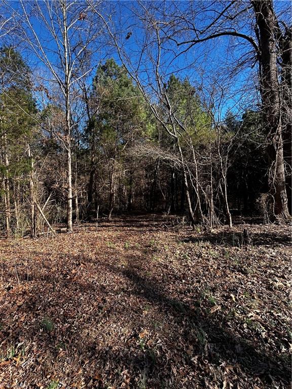 4624 Old Hopewell Church Road Trinity, NC 27370 - Photo 19 of 28